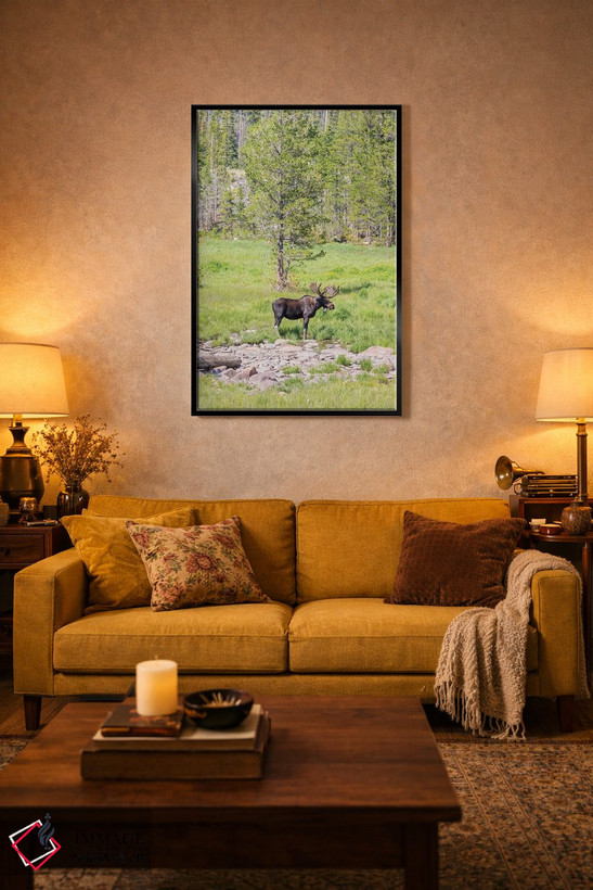 تابلو دکوراتیو Colorado, Cameron Pass. Bull moose with antlers.,آمریکا، کلر… اثر جینز گالری - D5B