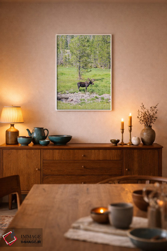 تابلو دکوراتیو Colorado, Cameron Pass. Bull moose with antlers.,آمریکا، کلر… اثر جینز گالری - D6W