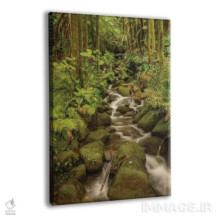 تابلو دکوراتیو Hawaii, Hawaii Tropical Botanical Garden. Tropical stream ca… اثر جینز گالری - نمای پرسپکتیو محصول