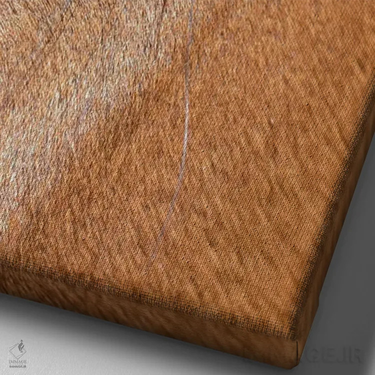 تابلو دکوراتیو Colorado, San Luis. Wild horse head close-up. USA, Colorado… اثر جینز گالری - نمای نزدیک بافت بوم
