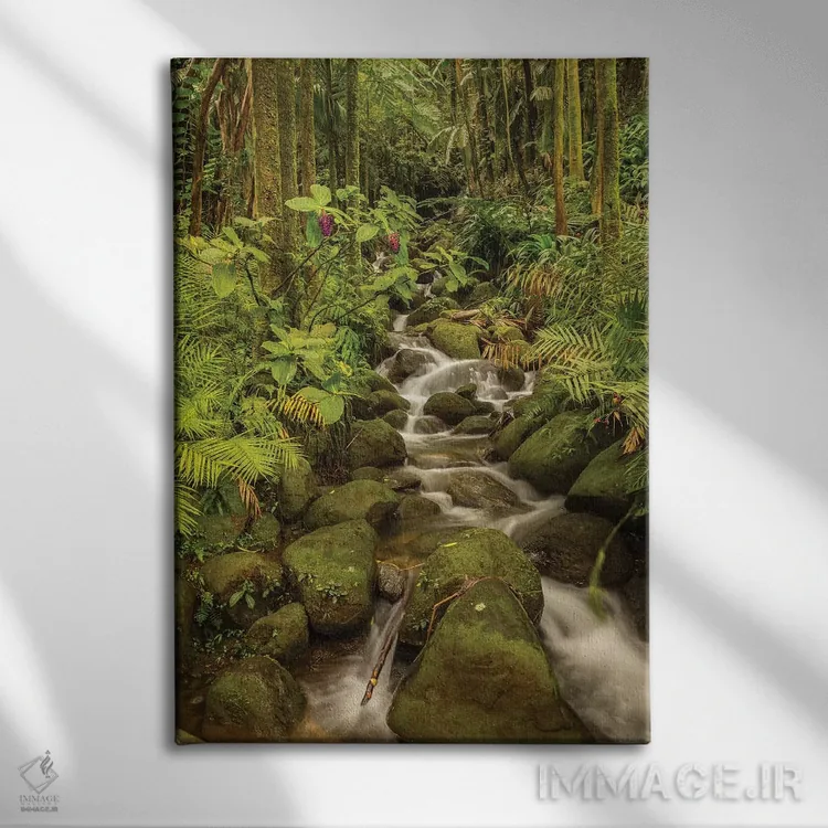 تابلو دکوراتیو Hawaii, Hawaii Tropical Botanical Garden. Tropical stream ca… اثر جینز گالری - نمای روبهرو روی دیوار