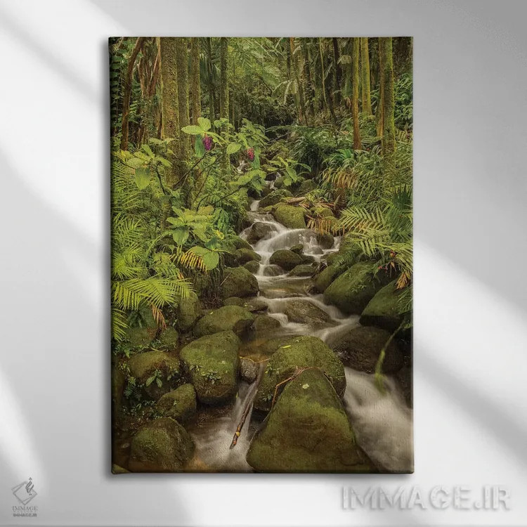 تابلو دکوراتیو Hawaii, Hawaii Tropical Botanical Garden. Tropical stream ca… اثر جینز گالری - نمای روبهرو روی دیوار