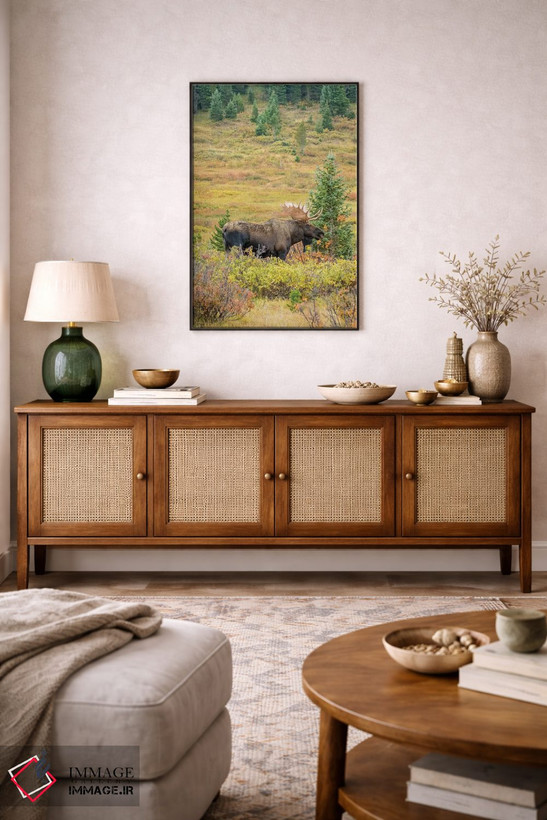 تابلو دکوراتیو Colorado, Cameron Pass. Bull moose with antlers.,آمریکا، کلر… اثر جینز گالری - D3B