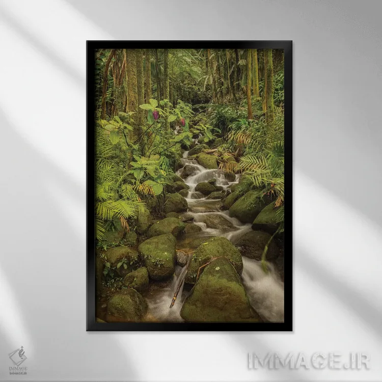 تابلو دکوراتیو Hawaii, Hawaii Tropical Botanical Garden. Tropical stream ca… اثر جینز گالری - نمای قابدار مشکی