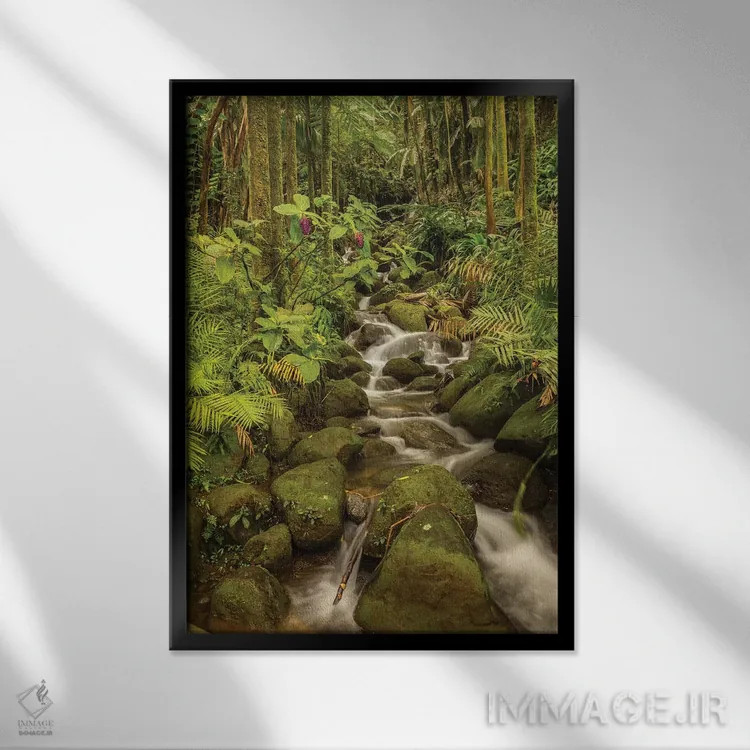 تابلو دکوراتیو Hawaii, Hawaii Tropical Botanical Garden. Tropical stream ca… اثر جینز گالری - نمای قابدار مشکی