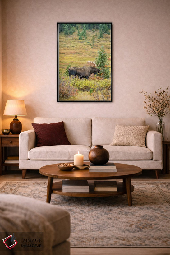 تابلو دکوراتیو Colorado, Cameron Pass. Bull moose with antlers.,آمریکا، کلر… اثر جینز گالری - D4B