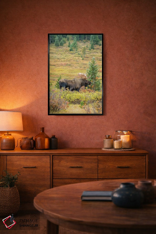 تابلو دکوراتیو Colorado, Cameron Pass. Bull moose with antlers.,آمریکا، کلر… اثر جینز گالری - D5B
