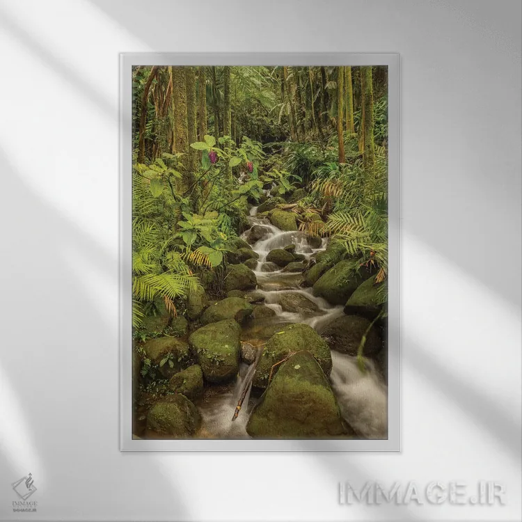 تابلو دکوراتیو Hawaii, Hawaii Tropical Botanical Garden. Tropical stream ca… اثر جینز گالری - نمای قابدار سفید