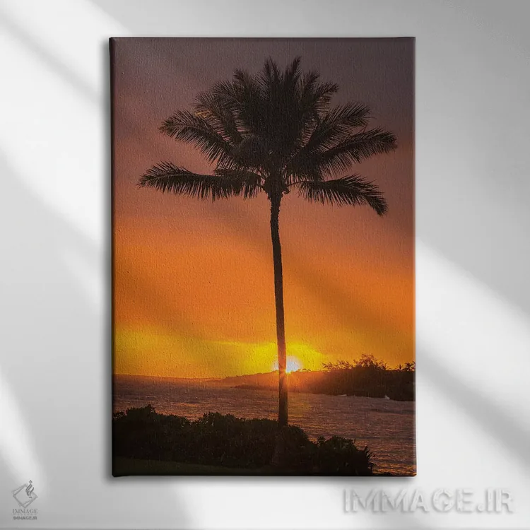 تابلو دکوراتیو Hawaii, Kauai, Lawai. Palm tree at sunset.,آمریکا، هاوایی، ک… اثر جینز گالری - نمای روبهرو روی دیوار