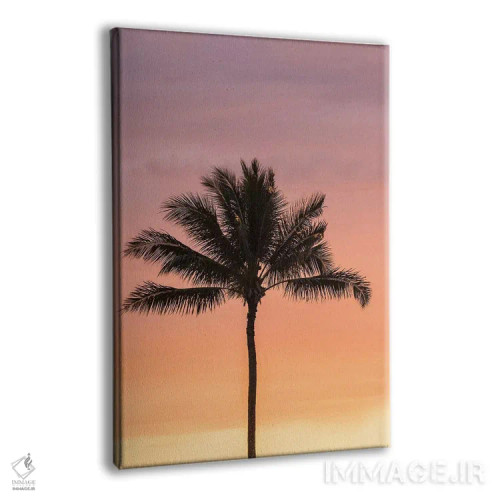 تابلو دکوراتیو Hawaii, Kauai, Lawai. Palm tree at sunset.,آمریکا، هاوایی، ک… اثر جینز گالری - نمای پرسپکتیو محصول