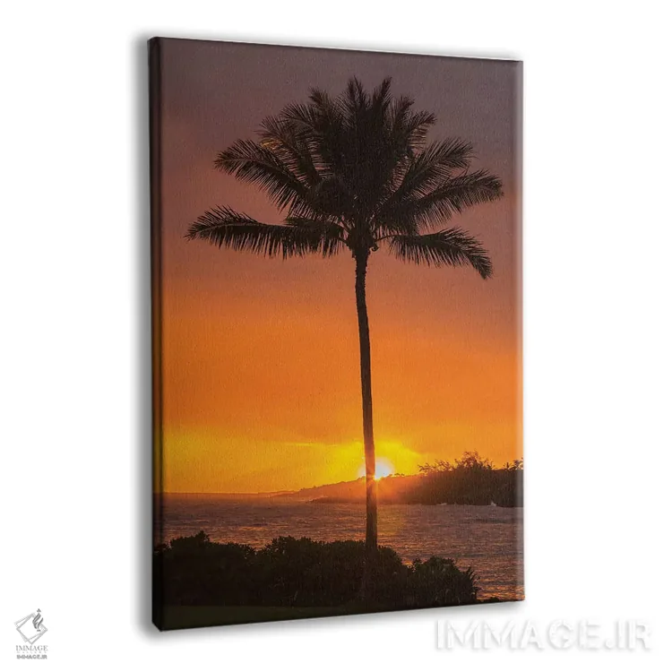 تابلو دکوراتیو Hawaii, Kauai, Lawai. Palm tree at sunset.,آمریکا، هاوایی، ک… اثر جینز گالری - نمای پرسپکتیو محصول