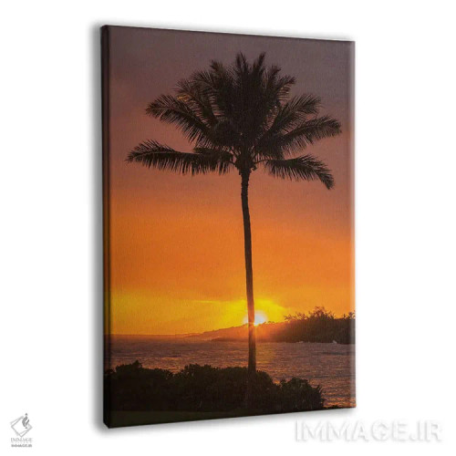 تابلو دکوراتیو Hawaii, Kauai, Lawai. Palm tree at sunset.,آمریکا، هاوایی، ک… اثر جینز گالری - نمای پرسپکتیو محصول