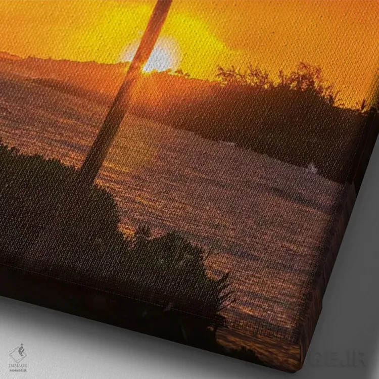 تابلو دکوراتیو Hawaii, Kauai, Lawai. Palm tree at sunset.,آمریکا، هاوایی، ک… اثر جینز گالری - نمای نزدیک بافت بوم