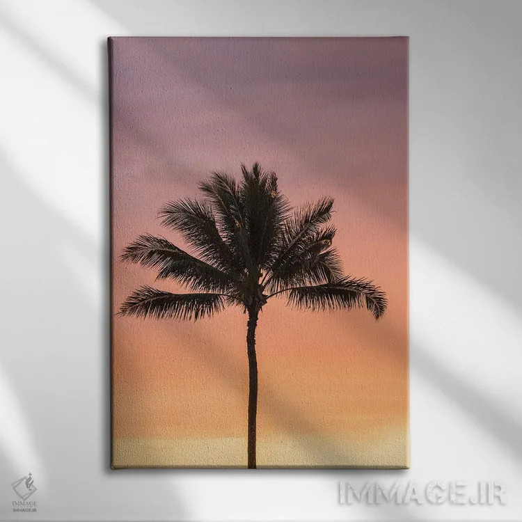 تابلو دکوراتیو Hawaii, Kauai, Lawai. Palm tree at sunset.,آمریکا، هاوایی، ک… اثر جینز گالری - نمای روبهرو روی دیوار