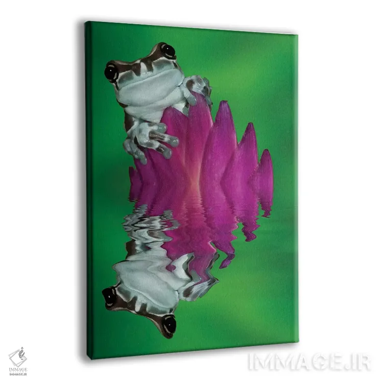 تابلو دکوراتیو Panama. Amazon milk frog reflects in water.,آمریکای جنوبی، پ… اثر جینز گالری - نمای پرسپکتیو محصول