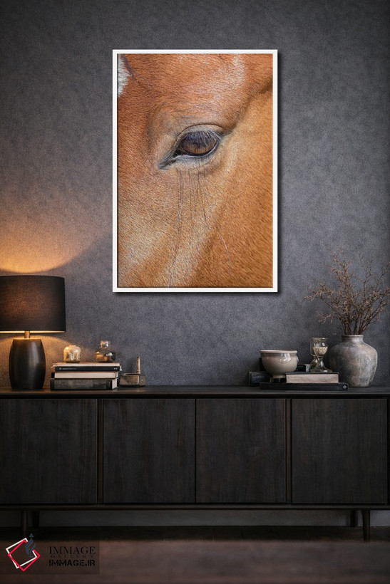 تابلو دکوراتیو Colorado, San Luis. Wild horse head close-up. USA, Colorado… اثر جینز گالری - D1W