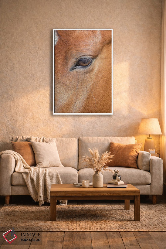 تابلو دکوراتیو Colorado, San Luis. Wild horse head close-up. USA, Colorado… اثر جینز گالری - D3W