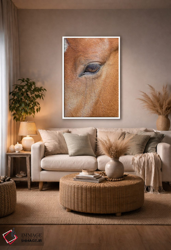 تابلو دکوراتیو Colorado, San Luis. Wild horse head close-up. USA, Colorado… اثر جینز گالری - D2W