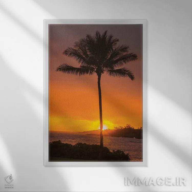 تابلو دکوراتیو Hawaii, Kauai, Lawai. Palm tree at sunset.,آمریکا، هاوایی، ک… اثر جینز گالری - نمای قابدار سفید