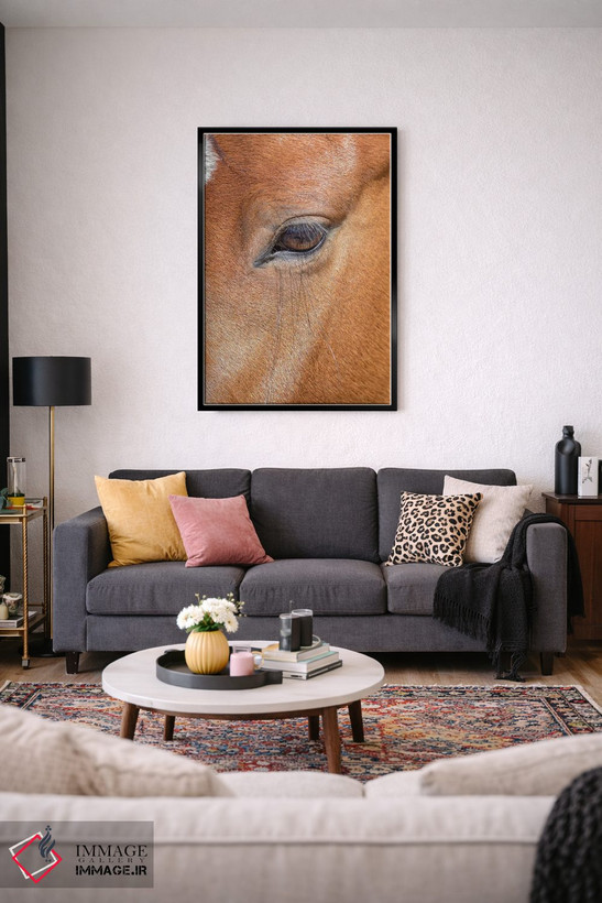 تابلو دکوراتیو Colorado, San Luis. Wild horse head close-up. USA, Colorado… اثر جینز گالری - D4B
