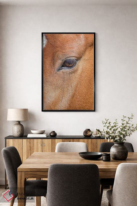 تابلو دکوراتیو Colorado, San Luis. Wild horse head close-up. USA, Colorado… اثر جینز گالری - D5B