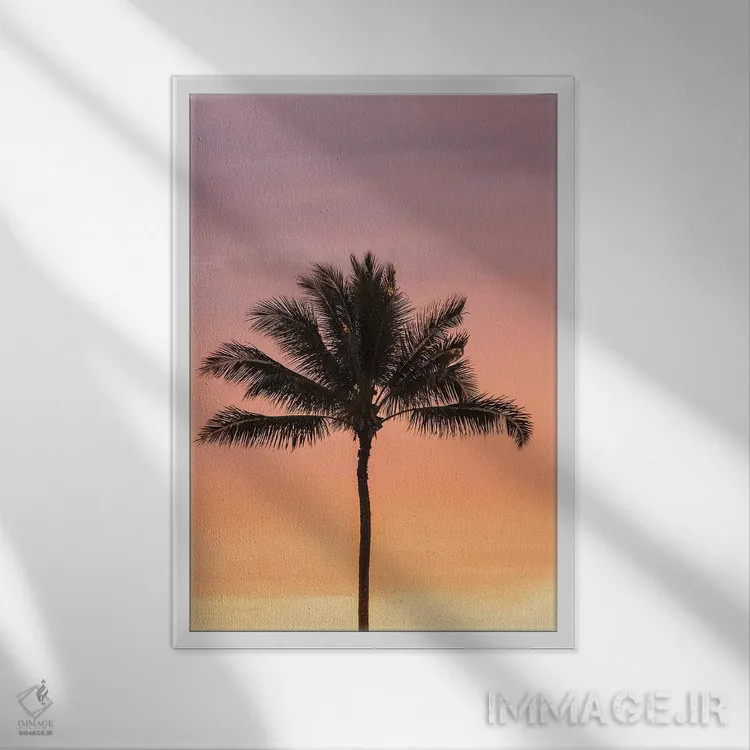 تابلو دکوراتیو Hawaii, Kauai, Lawai. Palm tree at sunset.,آمریکا، هاوایی، ک… اثر جینز گالری - نمای قابدار سفید