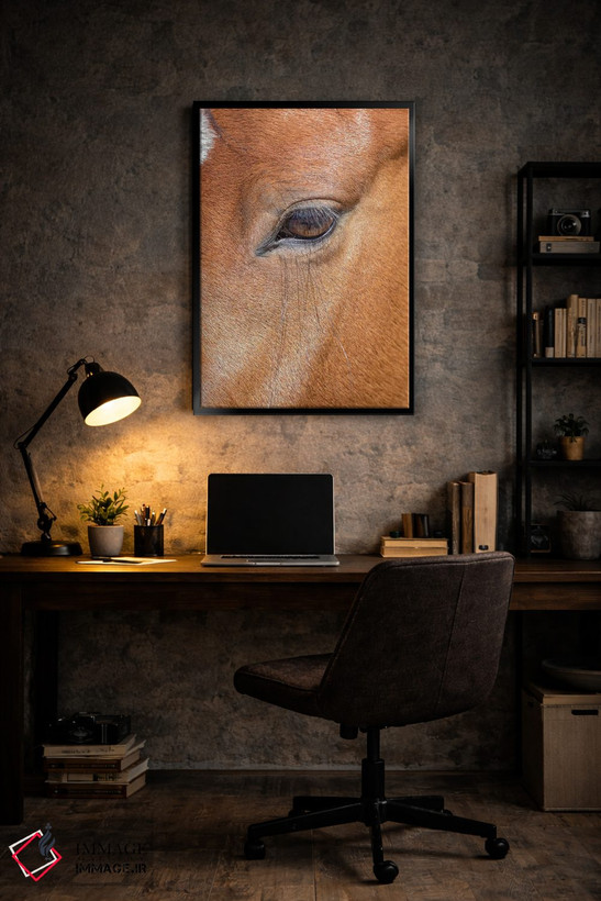 تابلو دکوراتیو Colorado, San Luis. Wild horse head close-up. USA, Colorado… اثر جینز گالری - D6B