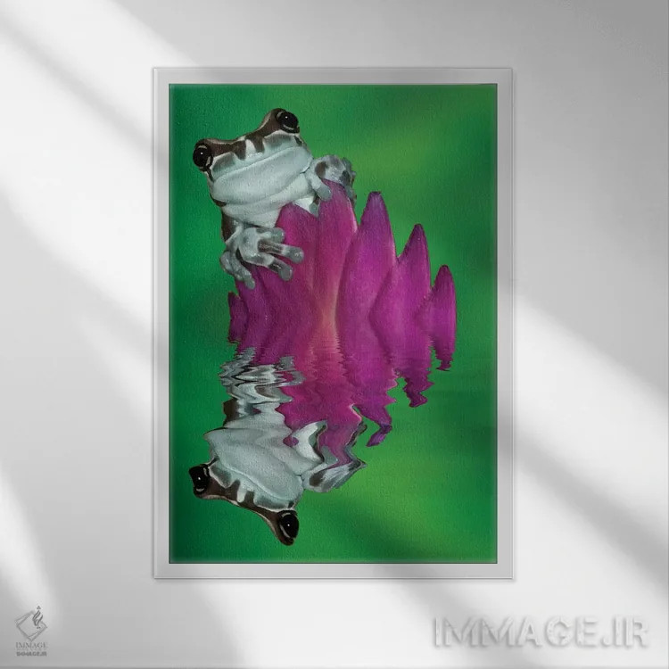 تابلو دکوراتیو Panama. Amazon milk frog reflects in water.,آمریکای جنوبی، پ… اثر جینز گالری - نمای قابدار سفید