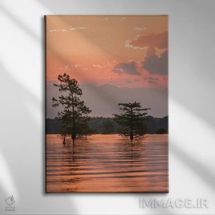 تابلو دکوراتیو Louisiana, Atchafalaya National Wildlife Refuge. Sunrise on… اثر جینز گالری - نمای روبهرو روی دیوار