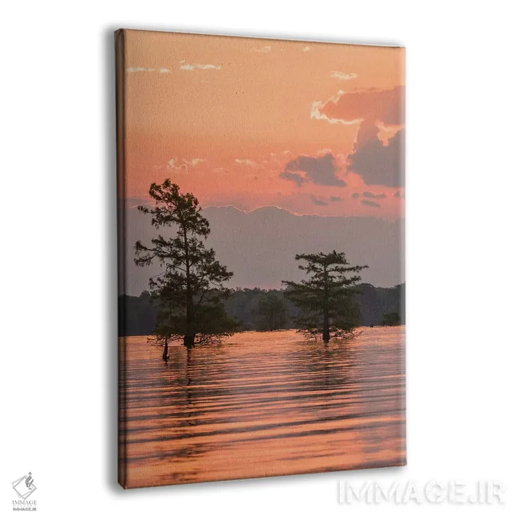 تابلو دکوراتیو Louisiana, Atchafalaya National Wildlife Refuge. Sunrise on… اثر جینز گالری - نمای پرسپکتیو محصول