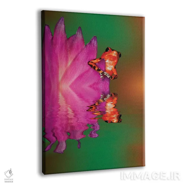تابلو دکوراتیو Panama. Strawberry poison dart frog reflects on water.,آمریک… اثر جینز گالری - نمای پرسپکتیو محصول