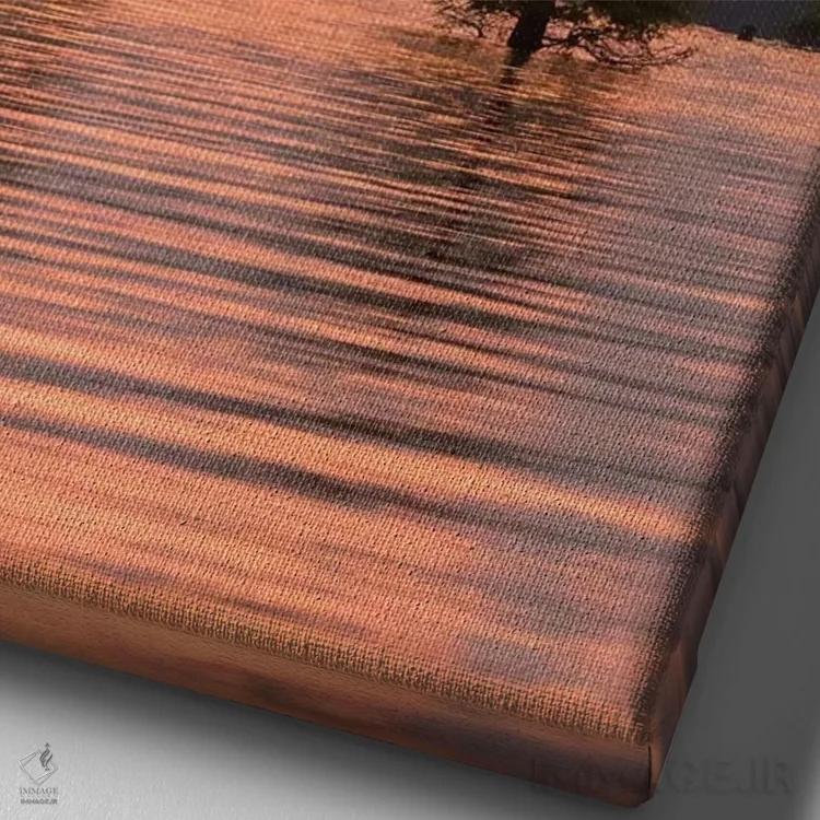 تابلو دکوراتیو Louisiana, Atchafalaya National Wildlife Refuge. Sunrise on… اثر جینز گالری - نمای نزدیک بافت بوم