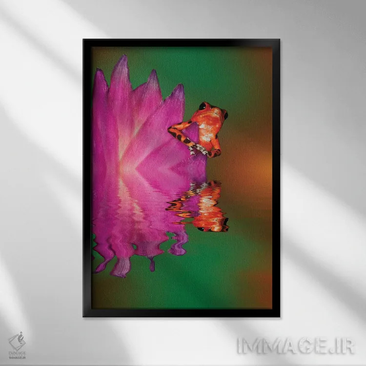 تابلو دکوراتیو Panama. Strawberry poison dart frog reflects on water.,آمریک… اثر جینز گالری - نمای قابدار مشکی