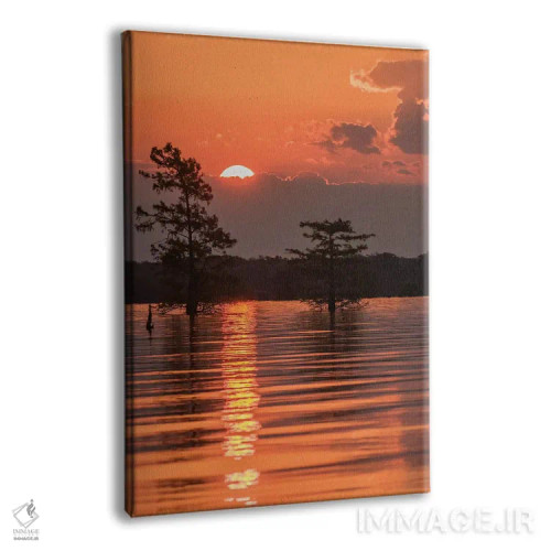 تابلو دکوراتیو Louisiana, Atchafalaya National Wildlife Refuge. Sunrise on… اثر جینز گالری - نمای پرسپکتیو محصول