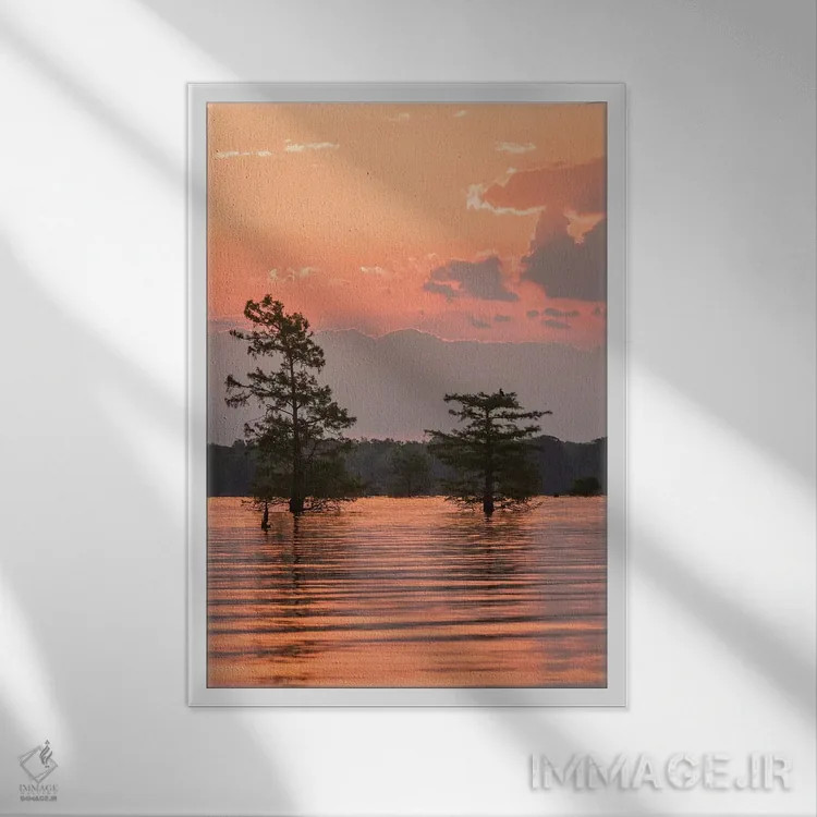 تابلو دکوراتیو Louisiana, Atchafalaya National Wildlife Refuge. Sunrise on… اثر جینز گالری - نمای قابدار سفید