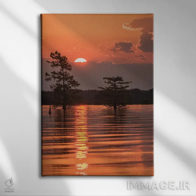 تابلو دکوراتیو Louisiana, Atchafalaya National Wildlife Refuge. Sunrise on… اثر جینز گالری - نمای روبهرو روی دیوار