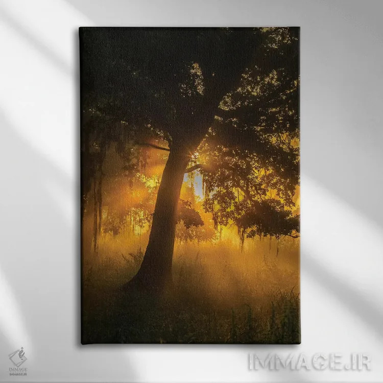 تابلو دکوراتیو Louisiana, Lake Martin. Foggy sunrise on trees.,آمریکا، لوئی… اثر جینز گالری - نمای روبهرو روی دیوار