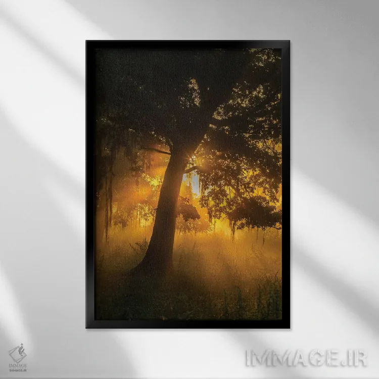 تابلو دکوراتیو Louisiana, Lake Martin. Foggy sunrise on trees.,آمریکا، لوئی… اثر جینز گالری - نمای قابدار مشکی