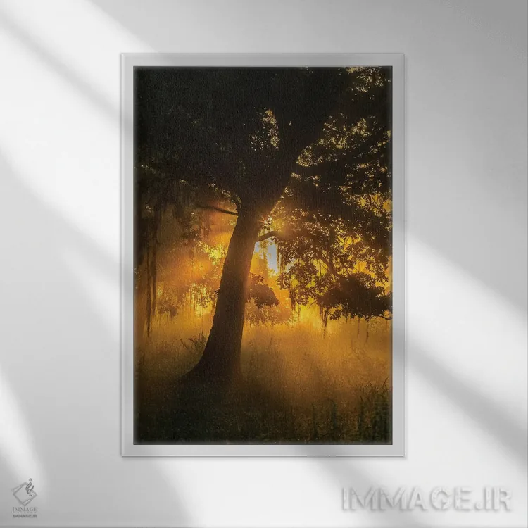 تابلو دکوراتیو Louisiana, Lake Martin. Foggy sunrise on trees.,آمریکا، لوئی… اثر جینز گالری - نمای قابدار سفید