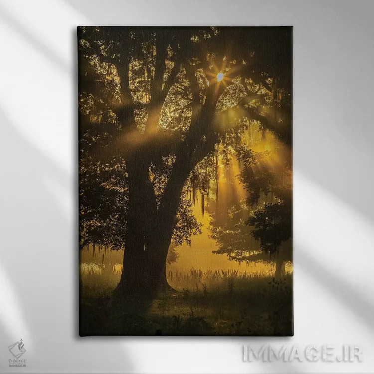 تابلو دکوراتیو Louisiana, Lake Martin. Tree silhouette in foggy sunrise.,آم… اثر جینز گالری - نمای روبهرو روی دیوار
