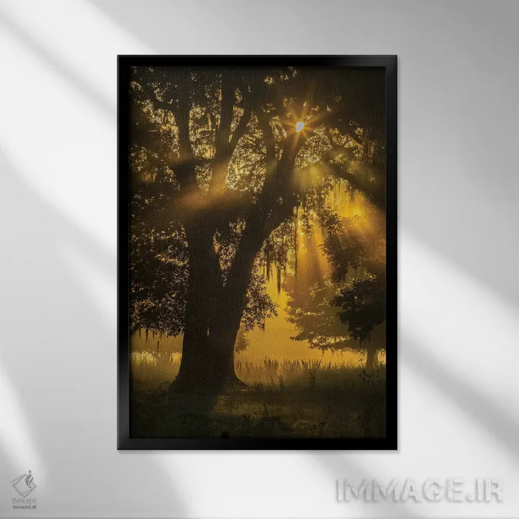 تابلو دکوراتیو Louisiana, Lake Martin. Tree silhouette in foggy sunrise.,آم… اثر جینز گالری - نمای قابدار مشکی