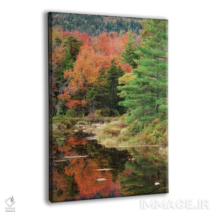 تابلو دکوراتیو New Hampshire, White Mountains. Autumn lake reflections.,آمر… اثر جینز گالری - نمای پرسپکتیو محصول