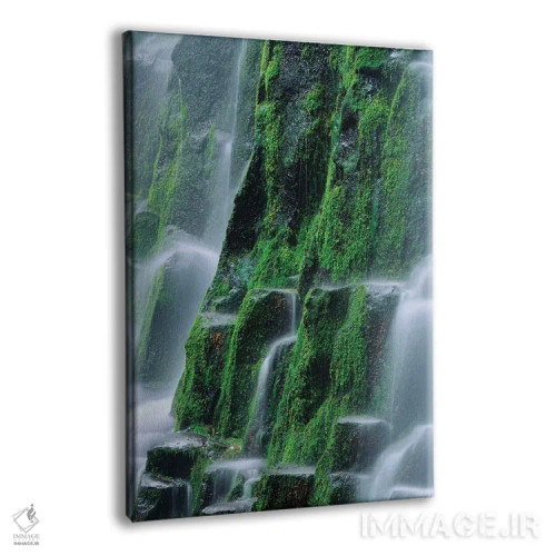 تابلو دکوراتیو Oregon, Three Sisters Wilderness. Close-up of Proxy Falls.,ا… اثر جینز گالری - نمای پرسپکتیو محصول