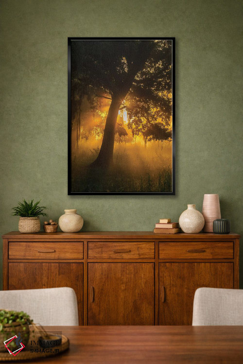 تابلو دکوراتیو Louisiana, Lake Martin. Foggy sunrise on trees.,آمریکا، لوئی… اثر جینز گالری - D2B
