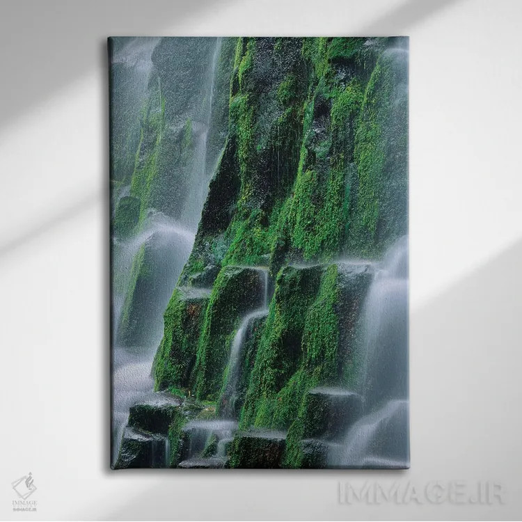 تابلو دکوراتیو Oregon, Three Sisters Wilderness. Close-up of Proxy Falls.,ا… اثر جینز گالری - نمای روبهرو روی دیوار