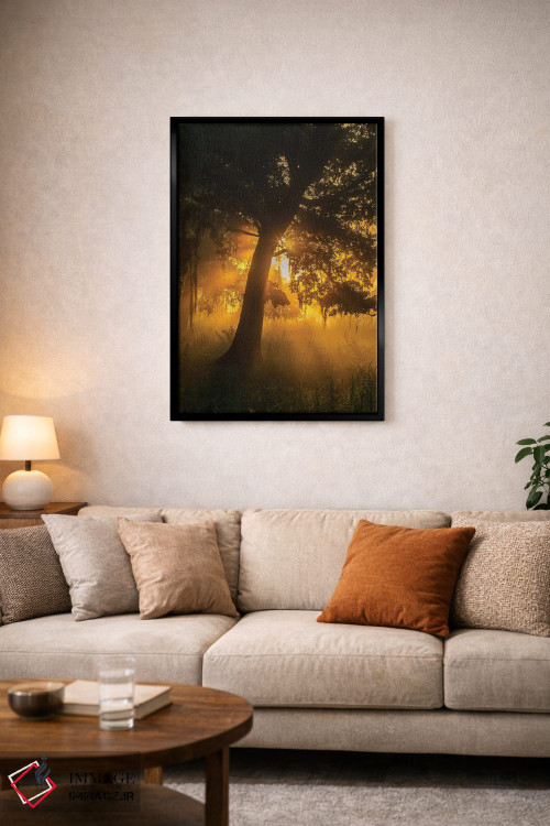 تابلو دکوراتیو Louisiana, Lake Martin. Foggy sunrise on trees.,آمریکا، لوئی… اثر جینز گالری - D3B