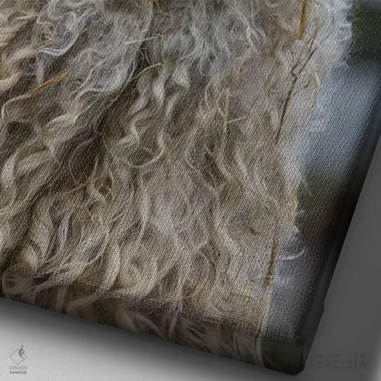 تابلو دکوراتیو Oregon. Old goat close-up.,ایالات متحده، اورگن. نمای نزدیک ب… اثر جینز گالری - نمای نزدیک بافت بوم