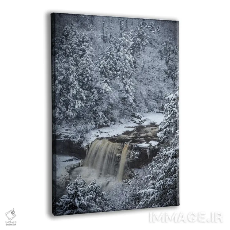 تابلو دکوراتیو West Virginia, Blackwater Falls State Park. Forest and water… اثر جینز گالری - نمای پرسپکتیو محصول