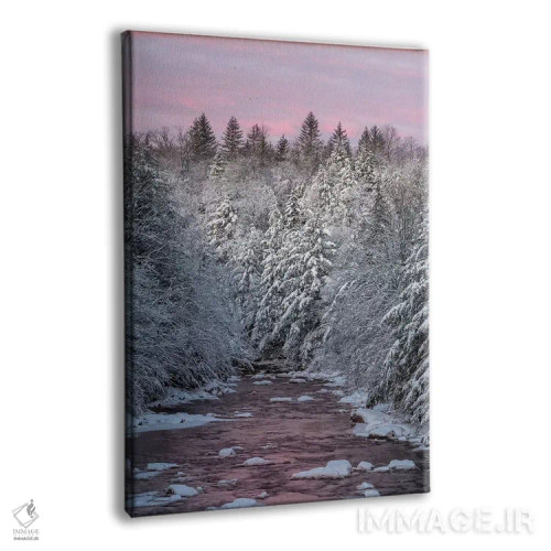 تابلو دکوراتیو West Virginia, Blackwater Falls State Park. Forest and strea… اثر جینز گالری - نمای پرسپکتیو محصول