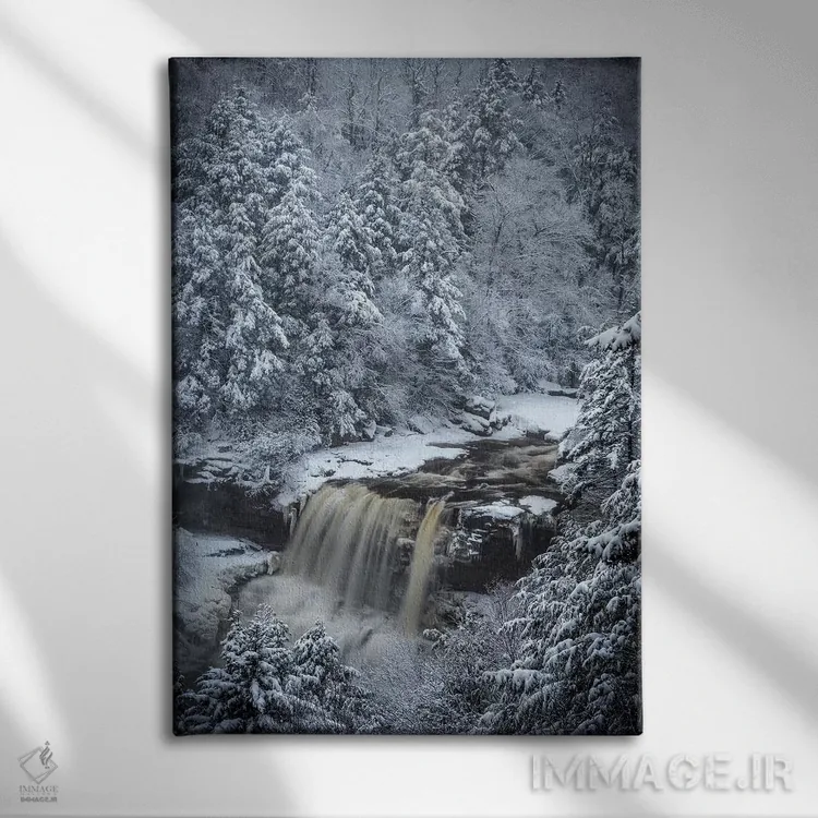 تابلو دکوراتیو West Virginia, Blackwater Falls State Park. Forest and water… اثر جینز گالری - نمای روبهرو روی دیوار